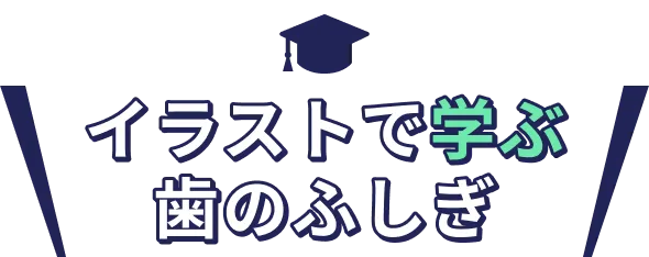 イラストで学ぶ歯のふしぎ
